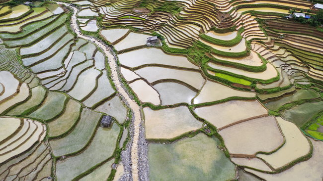 Centuries-old terraced rice fields sustain life in northern Vietnam