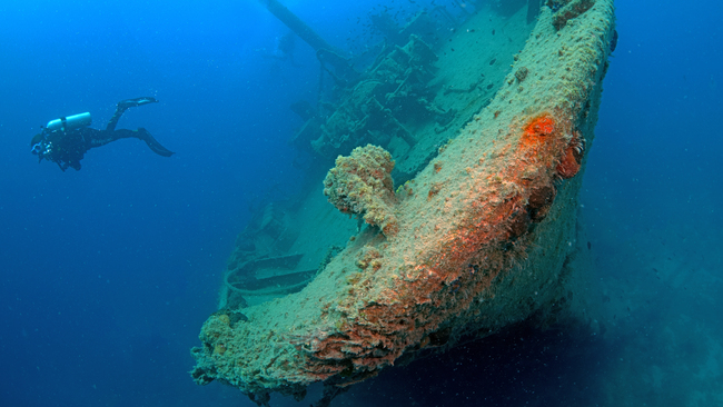 Diving to the historic shipwrecks of Turkiye's Yassiada