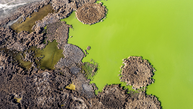 Drought hits wetlands in Ankara