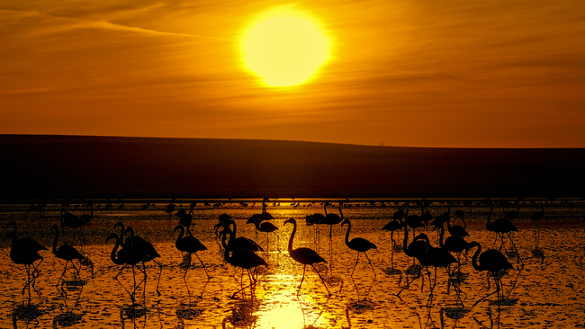 Lake Duden, a popular destination for migratory birds in Turkiye's Konya