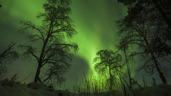 Northern lights illuminate sky in Sweden