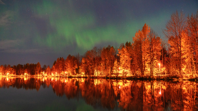 Northern lights in Alaska