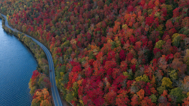Peak fall foliage colors blanket Westmore, Vermont
