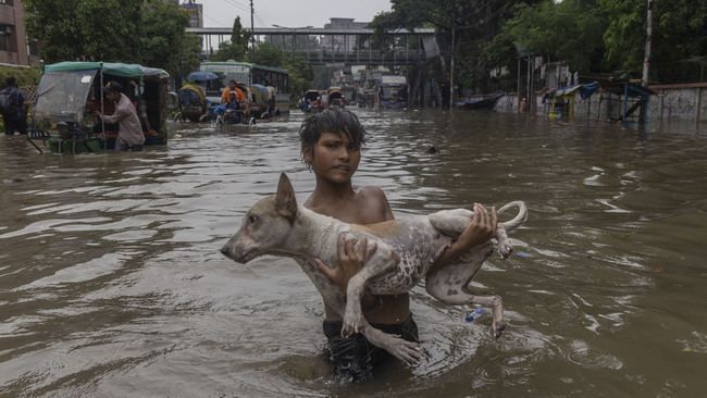 Persistent rain leaves Dhaka waterlogged, disrupting daily life
