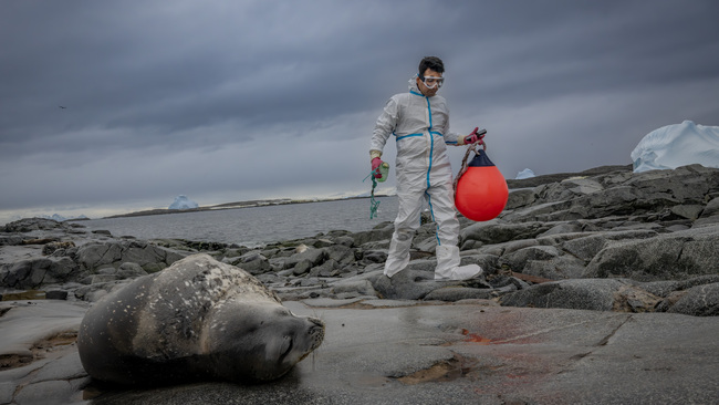 Scientific expedition reveals growing environmental risks in Antarctica