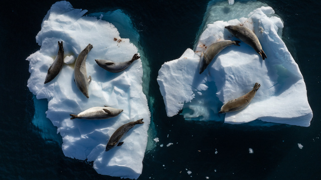 Turkish Scientists reach Antarctica for 10th Scientific Expedition