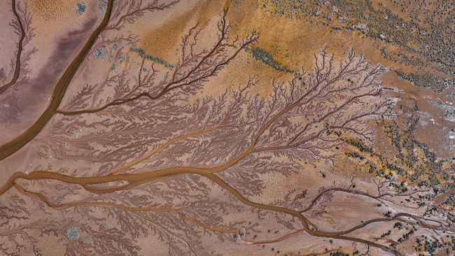 Water patterns at Turkiye's Tuzla Palas Lake resemble tree branches